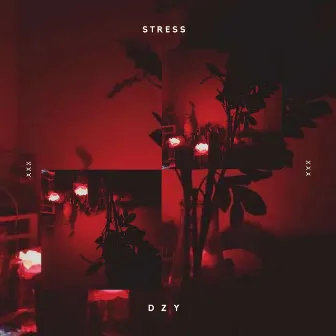 STRESS by DZY