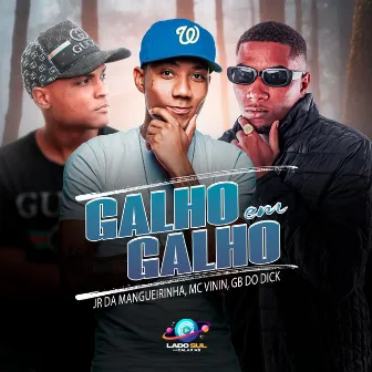 Galho em Galho by Dj JR da Mangueirinha