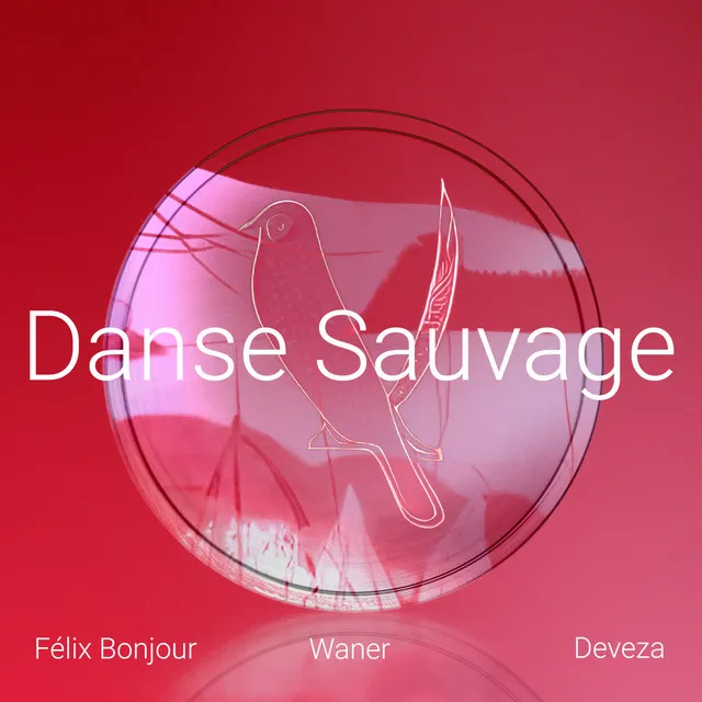 Danse Sauvage