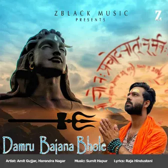 Damru Bajana Bhole by Unknown Artist