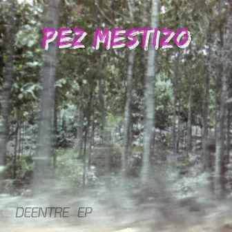 DEENTRE by Pez Mestizo