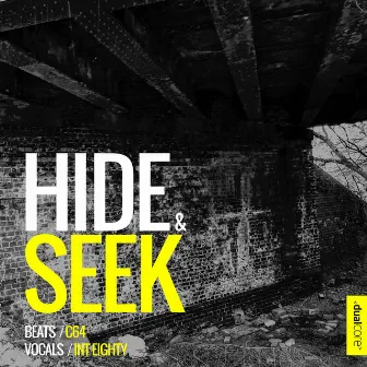 Hide & Seek by Dual Core