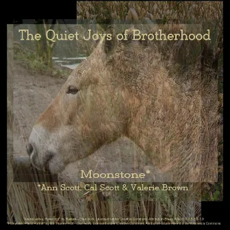 The Quiet Joys of Brotherhood by Moonstone