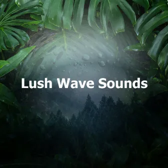 Lush Wave Sounds by Lush Waves Creators