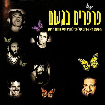 פרפרים בגשם by Nachum Heiman