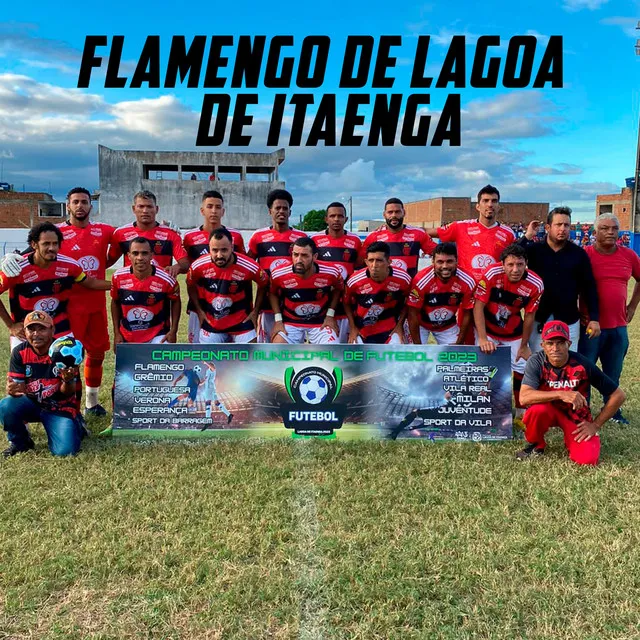 Flamengo de Lagoa de Itaenga