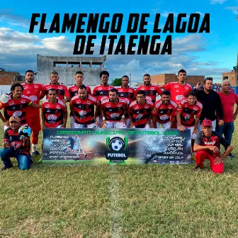 Flamengo de Lagoa de Itaenga by Adalberto Santos