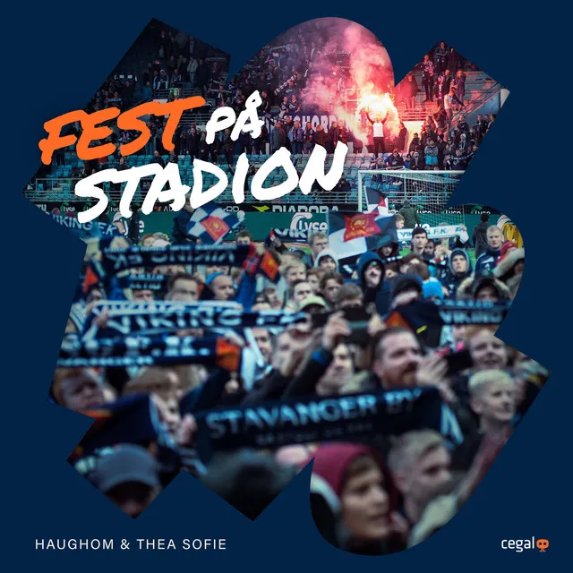 Fest på stadion