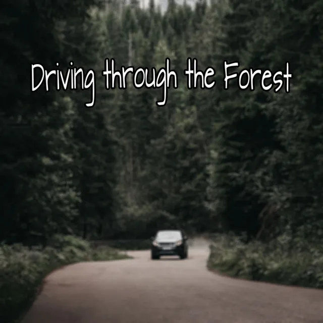 Driving Through the Forest