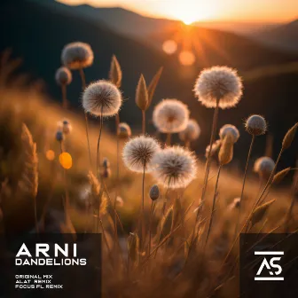 Dandelions by ALAT