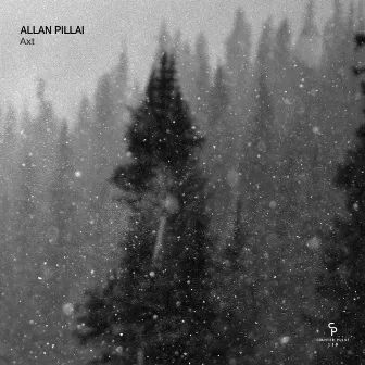 Axt by Allan Pillai