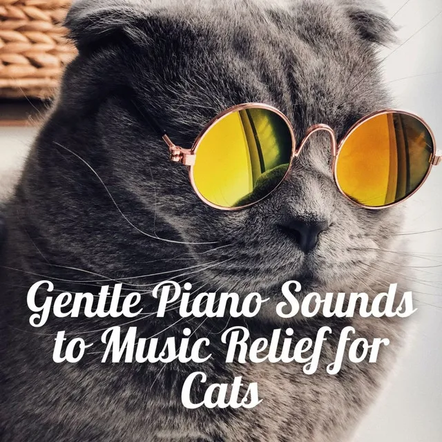 Feline Melodies in Soft Piano Sounds