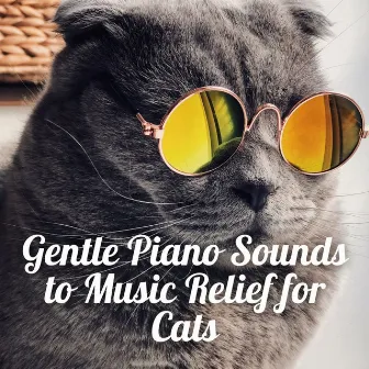 Gentle Piano Sounds to Music Relief for Cats by Piano Cat