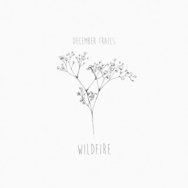 Wildfire