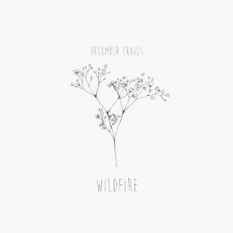 Wildfire by December Trails