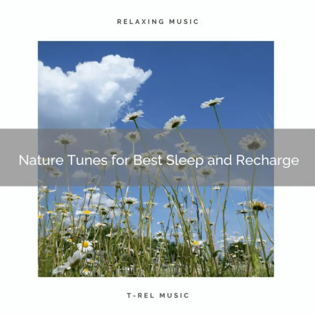 Nature Tunes for Best Sleep and Recharge