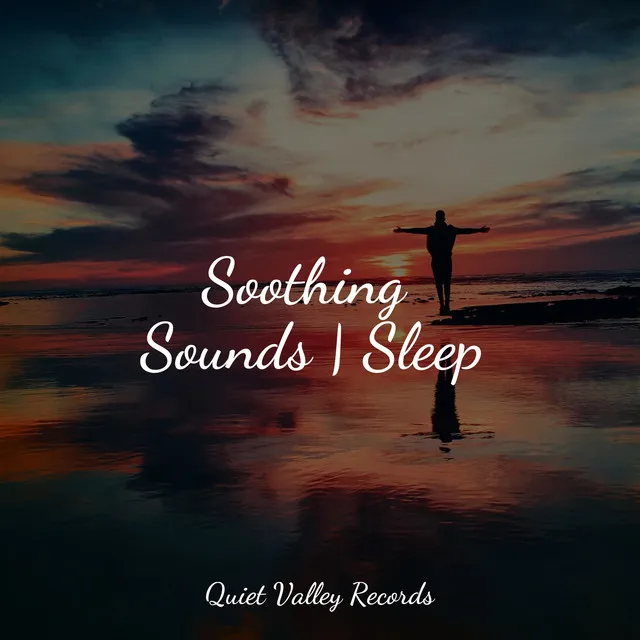 Soothing Sounds | Sleep