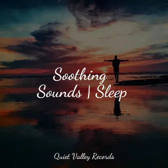 Soothing Sounds | Sleep by Thunder Storms & Rain Sounds