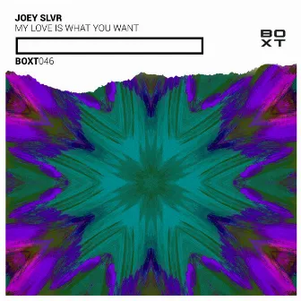 My Love Is What You Want by Joey SLVR