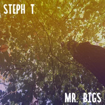 Mr. Bigs by Steph T