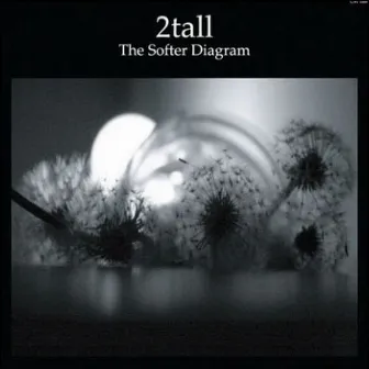 The Softer Diagram by 2tall