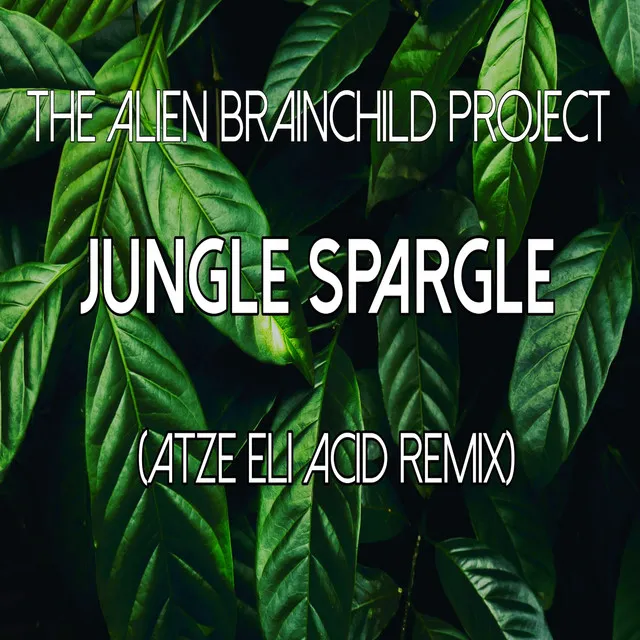 Jungle Spargle - Atze Eli Acid Remix