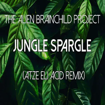 Jungle Spargle (Atze Eli Acid Remix) by Atze Eli