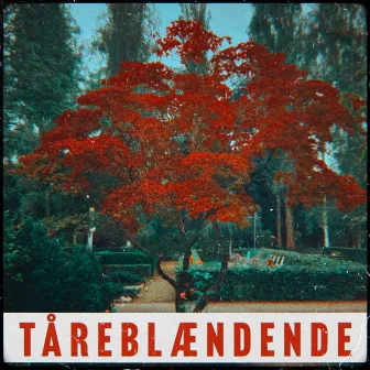 Tåreblændende by Semphiz