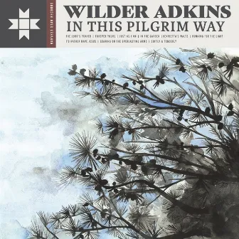 In This Pilgrim Way by Wilder Adkins