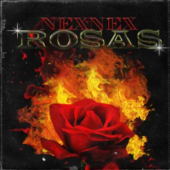 Rosas by NexNex