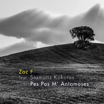 Pes Pos M' Antamoses by Zac F