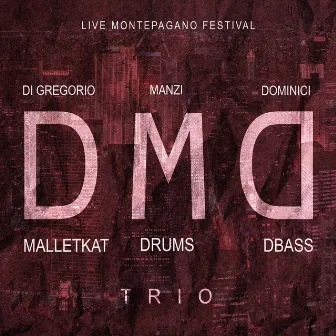 DMD Trio (Live Montepagano Festival) by Daniele Di Gregorio