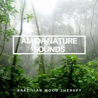 Brazilian Wood Therapy by Amida Nature Sounds