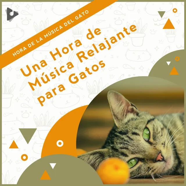 Música Relajante para Gatos