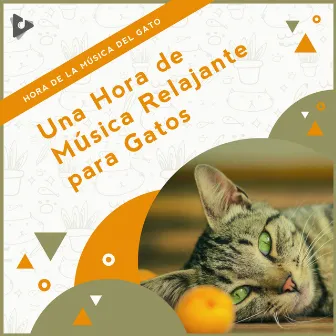 1 Hora de Música Relajante para Gatos by Música Calmante para Gatitos