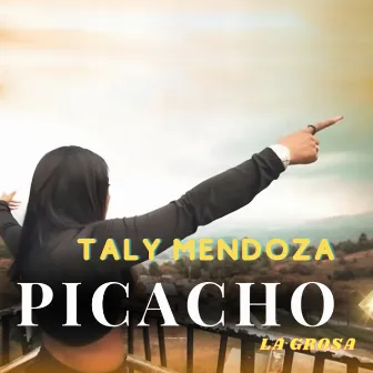 PICACHO by Taly Mendoza