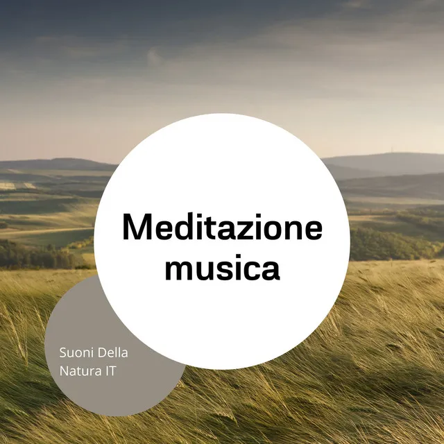 Meditazione musica