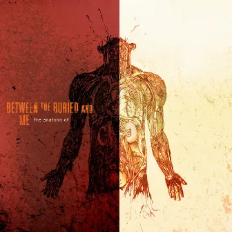 The Anatomy Of by Between The Buried And Me