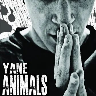 Animals by Yane