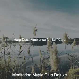 Harp Duo - Ambiance for Self Care by Meditation Music Club Deluxe