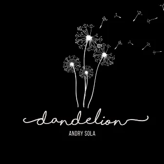 Dandelion by Andry Sola