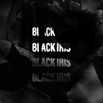 Black Iris by AceQuared