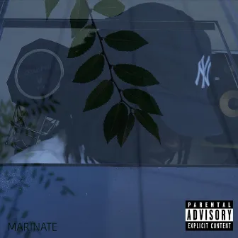 MARINATE by Scotty Bleu