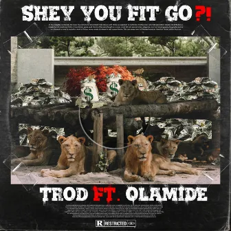 Shey You Fit Go?! by TROD