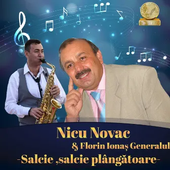 Salcie, Salcie Plangatoare by Nicu Novac