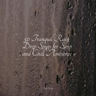 50 Tranquil Rain Drop Songs for Sleep and Chill Ambience by Rain Spa