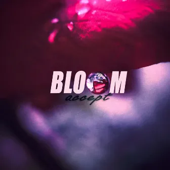 Accept by Bloom.