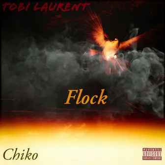 Flock by Tobi Laurent