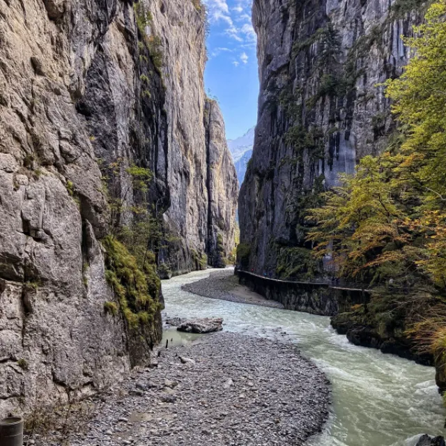 Rain, Water, and Rivers Noises