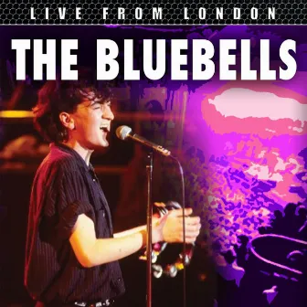 Live From London by The Bluebells